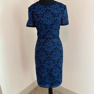 Elegant Blue Lace Dress